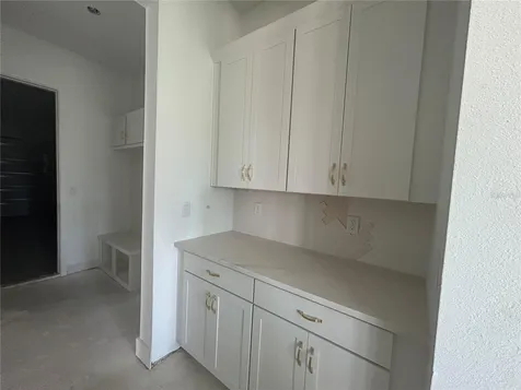 17412 Honeybell Tangelo Court Winter Garden FL 34787