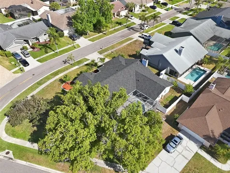 1775 Stable Trail Palm Harbor FL 34685