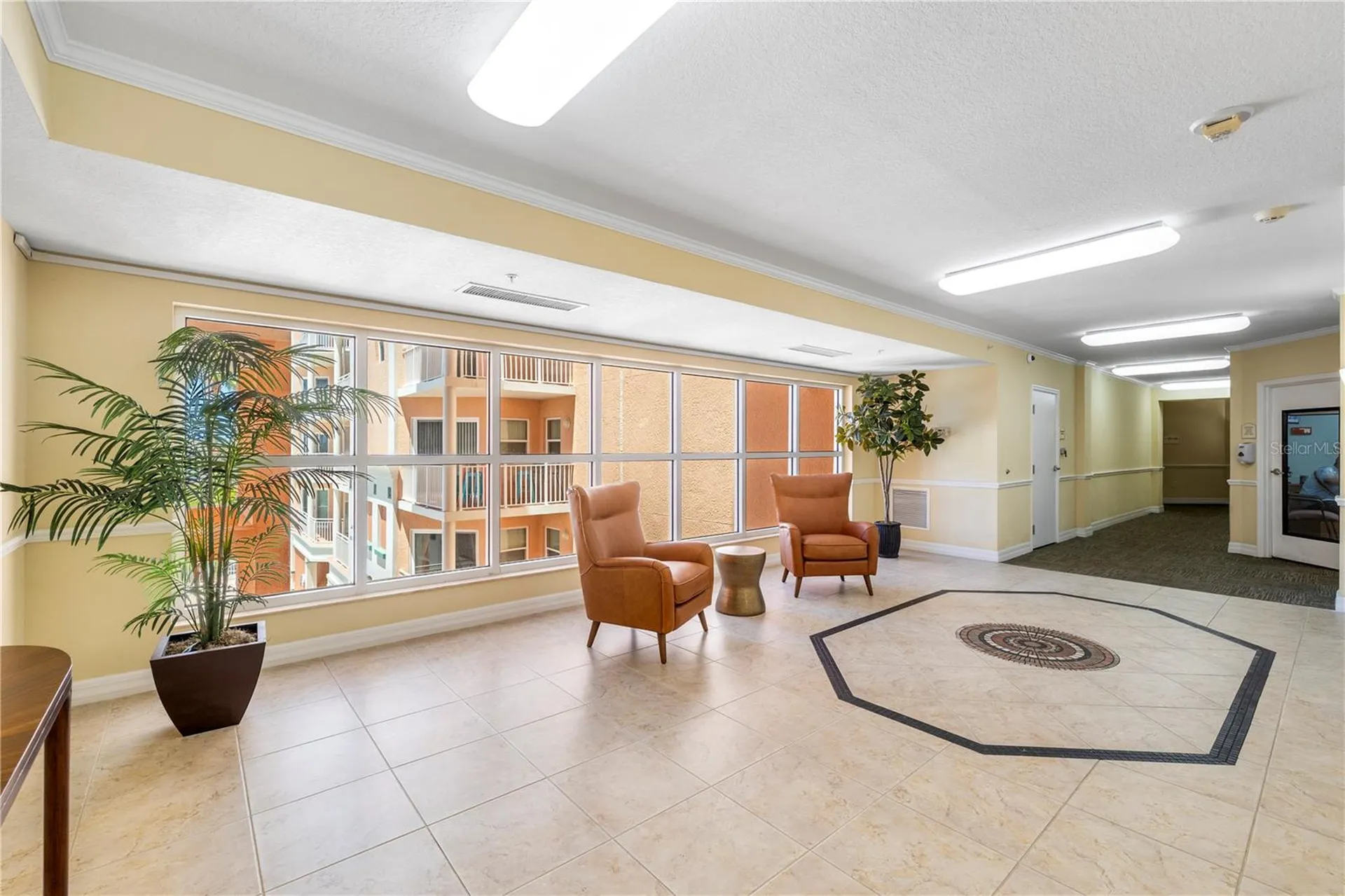 4516 Seagull Drive New Port Richey FL 34652