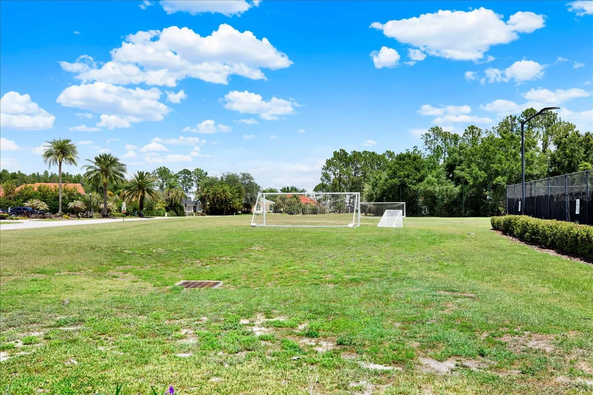 18019 Java Isle Drive Tampa FL 33647