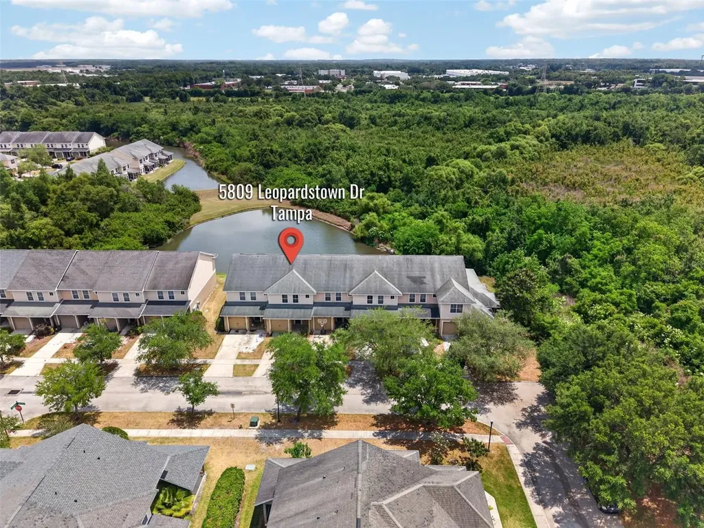 5809 Leopardstown Drive Tampa FL 33610