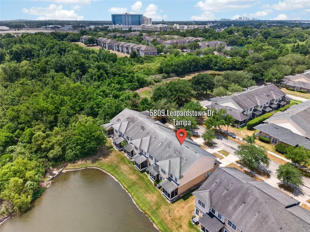 5809 Leopardstown Drive Tampa FL 33610