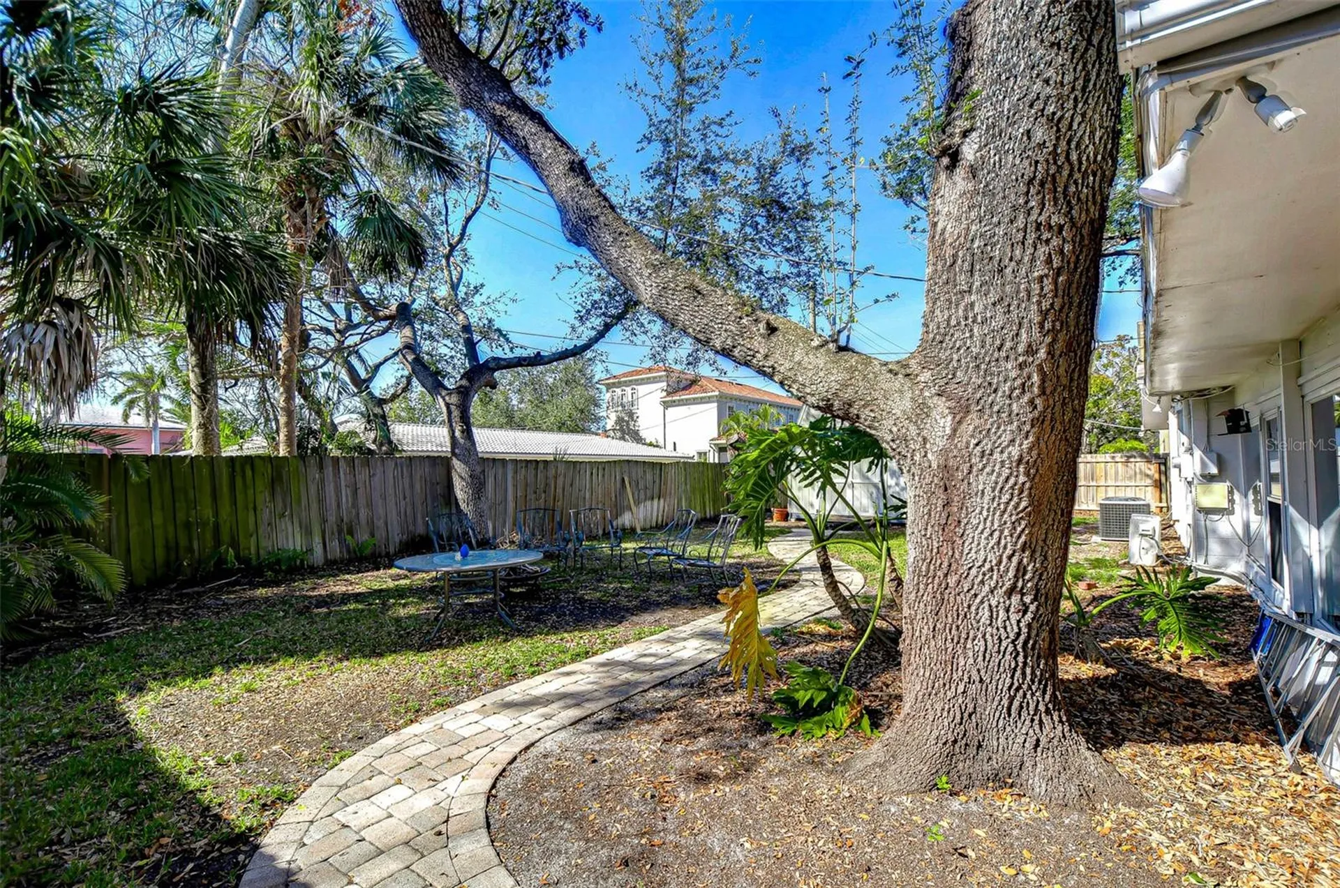 3621 S Belcher Drive Tampa FL 33629