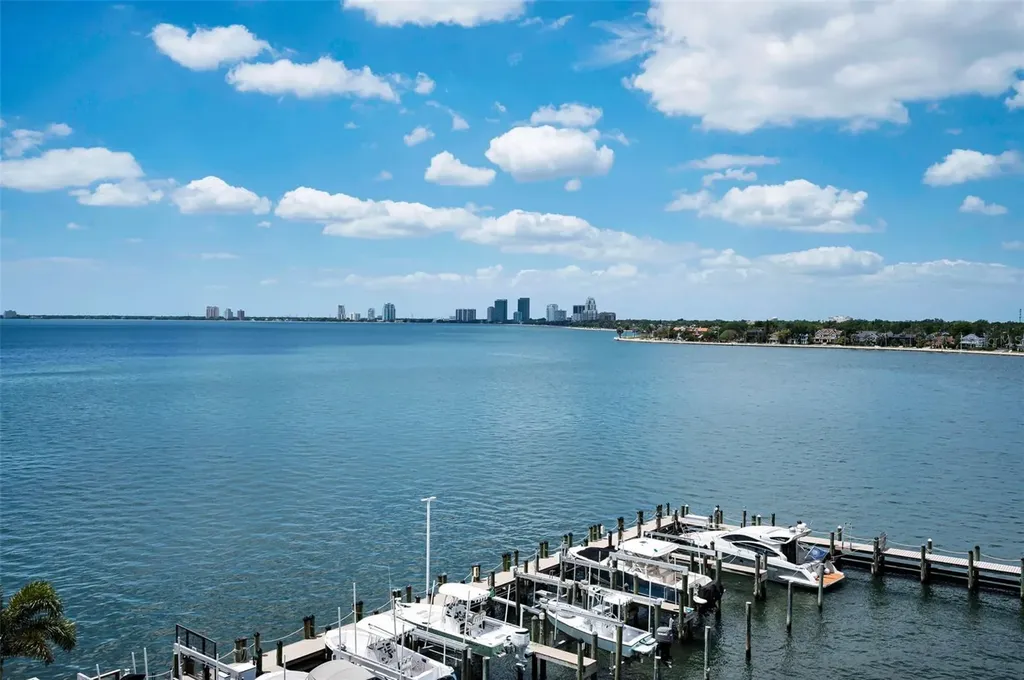 2 Adalia Avenue Tampa FL 33606