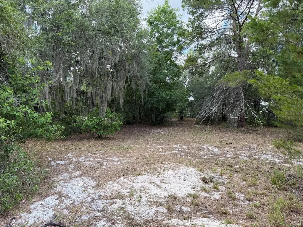 8351 Wakeford Road Lake Wales FL 33898