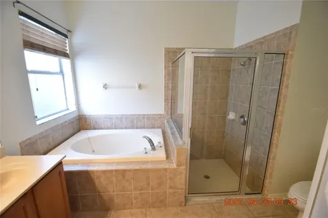 30633 Totteridge Place Wesley Chapel FL 33545