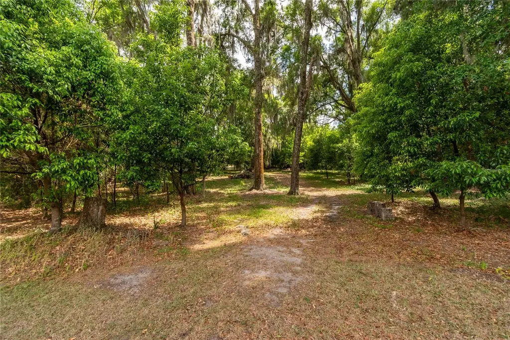 5021 NW 101st Street Road Ocala FL 34482
