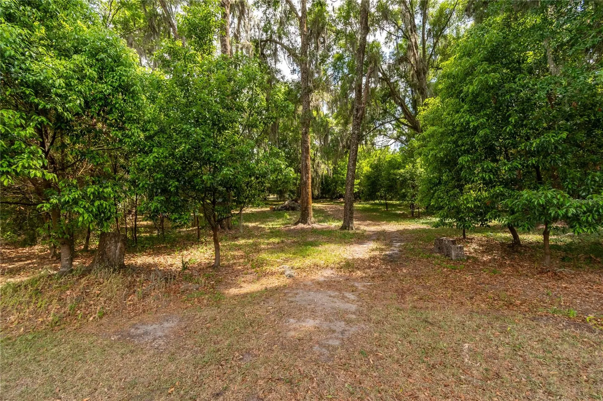 5021 NW 101st Street Road Ocala FL 34482