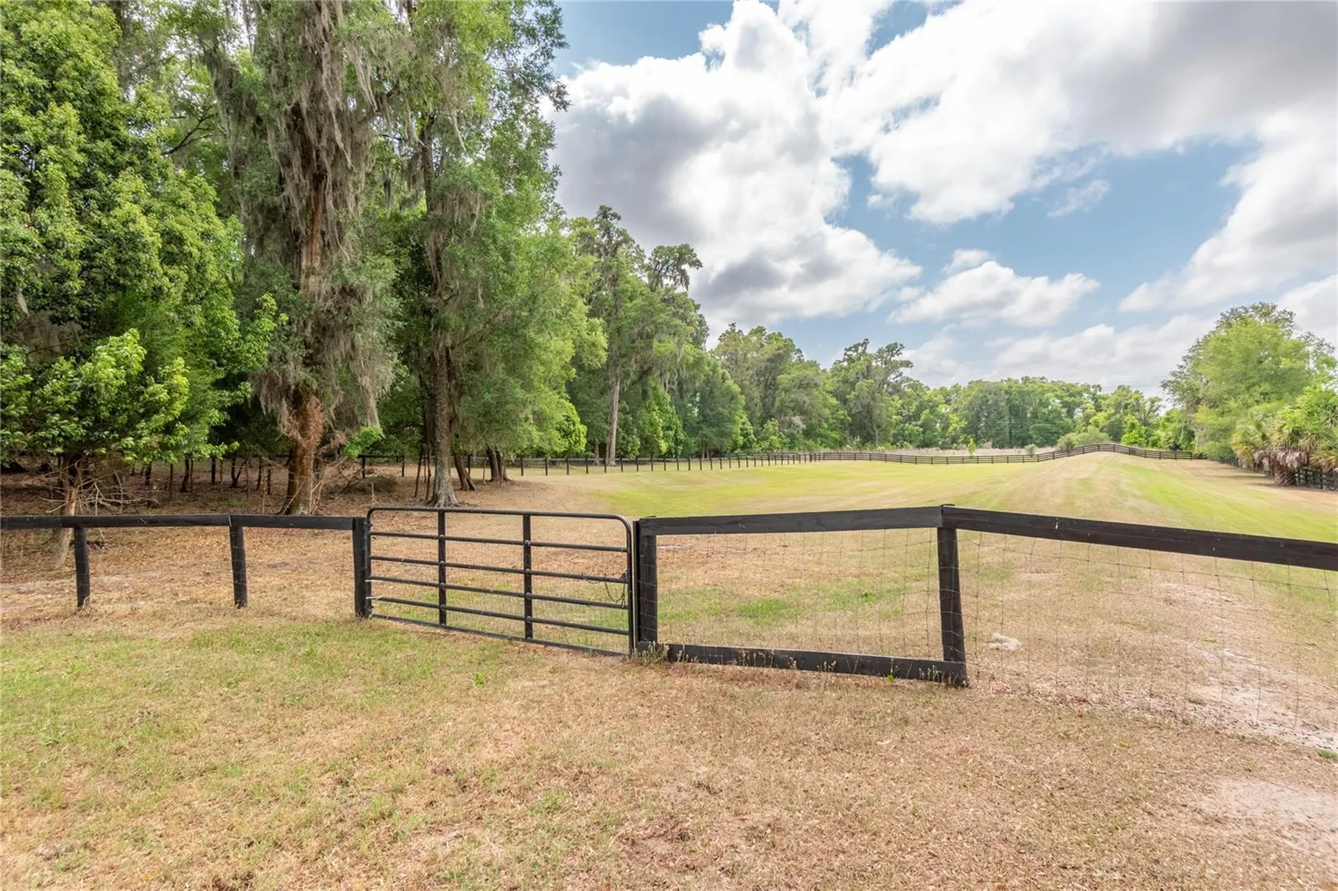 5021 NW 101st Street Road Ocala FL 34482