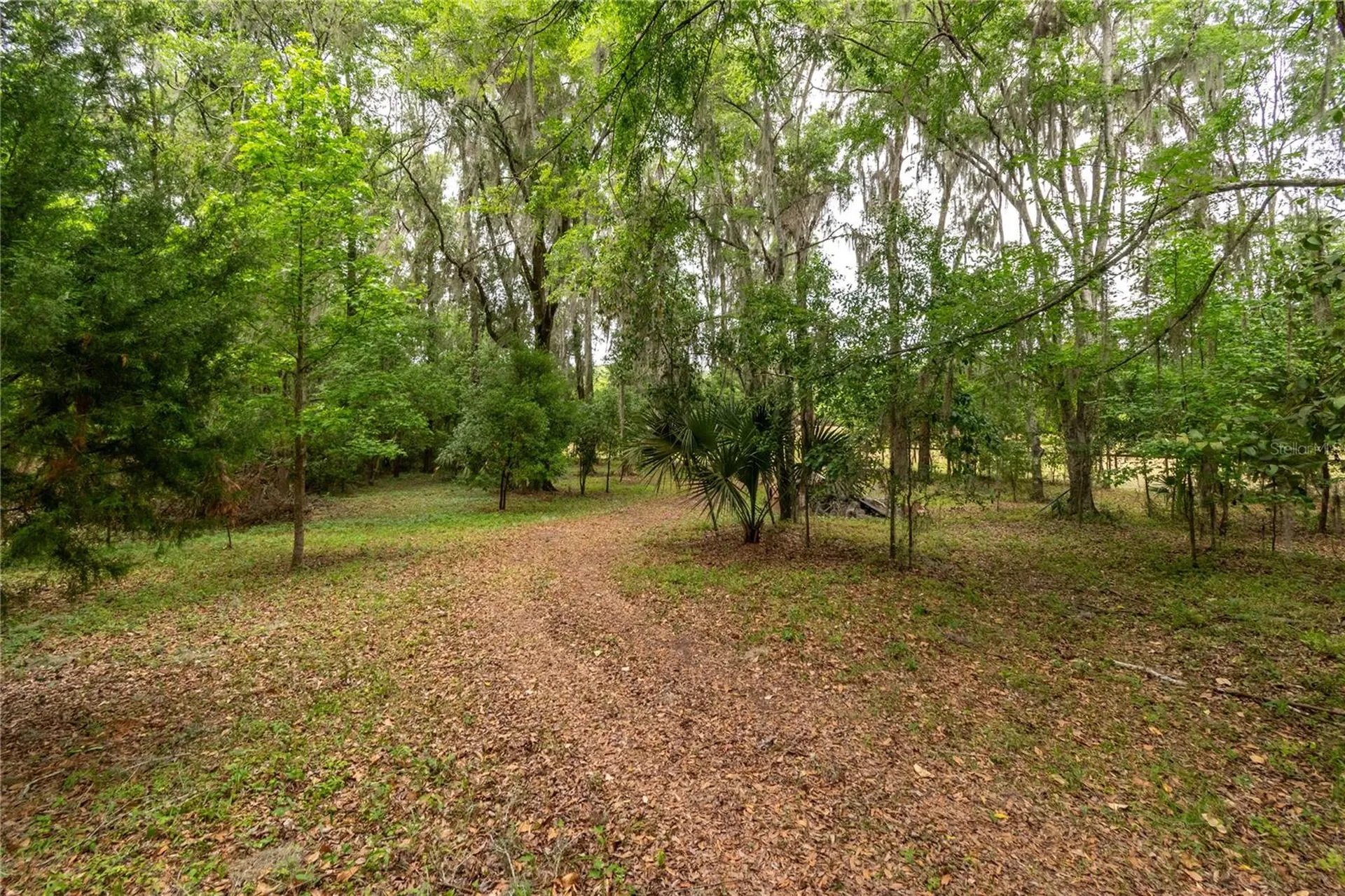 5021 NW 101st Street Road Ocala FL 34482