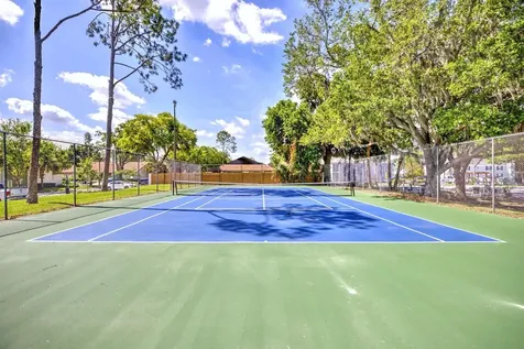 262 Lewfield Circle Winter Park FL 32792