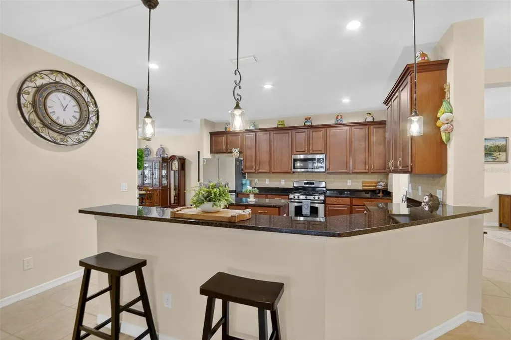 11321 Scribner Station Lane Lithia FL 33547