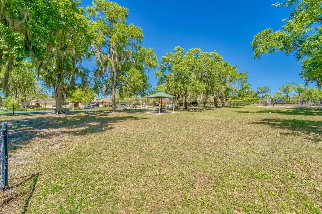 11321 Scribner Station Lane Lithia FL 33547
