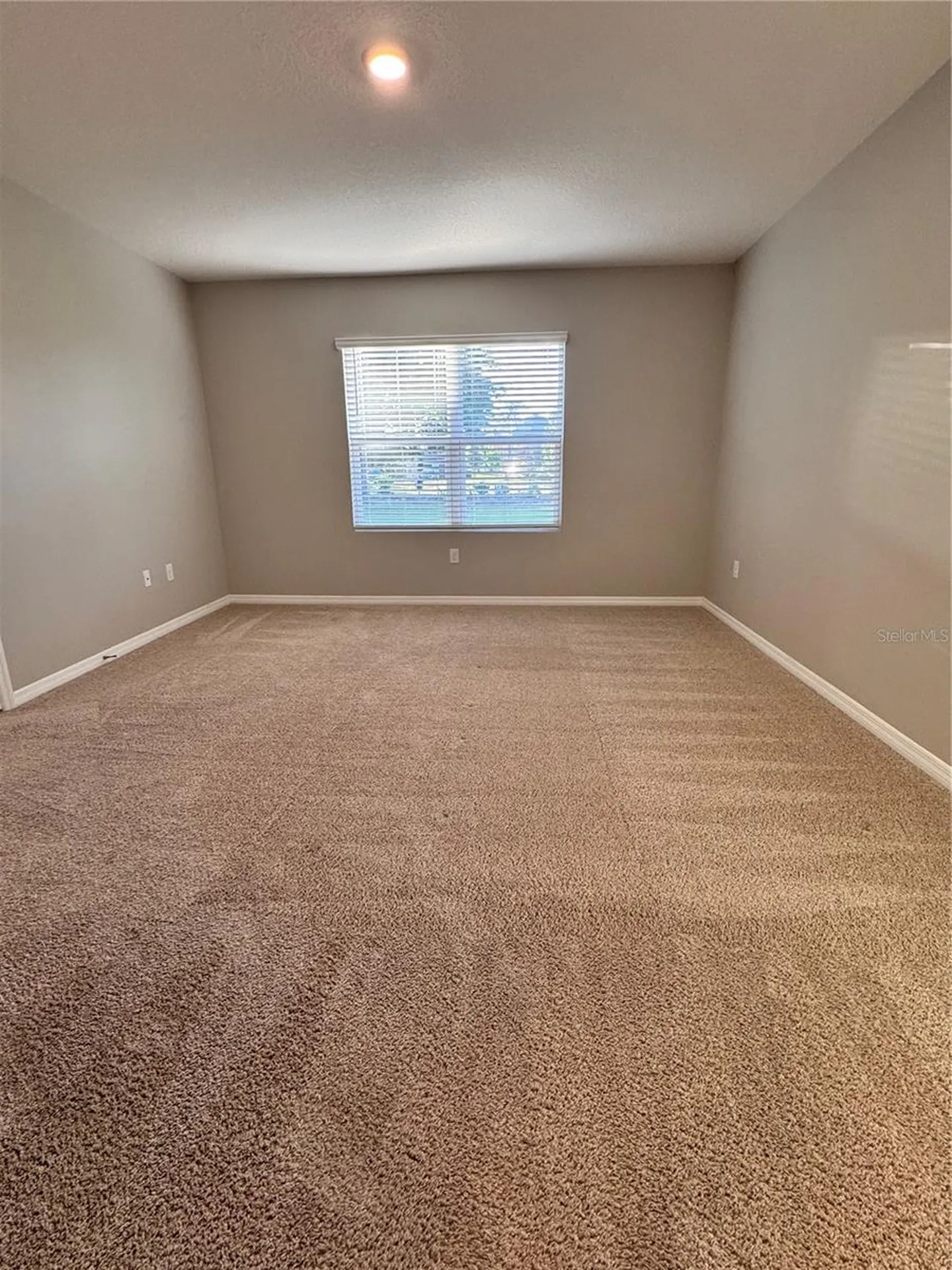 2531 Avalon Park Boulevard Tavares FL 32778