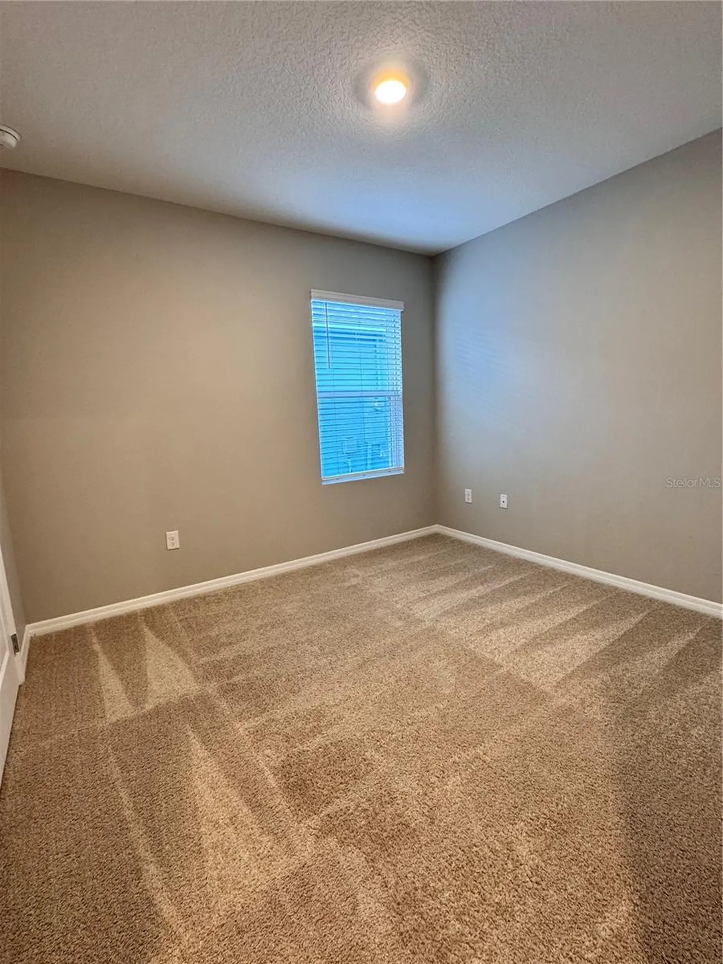 2531 Avalon Park Boulevard Tavares FL 32778