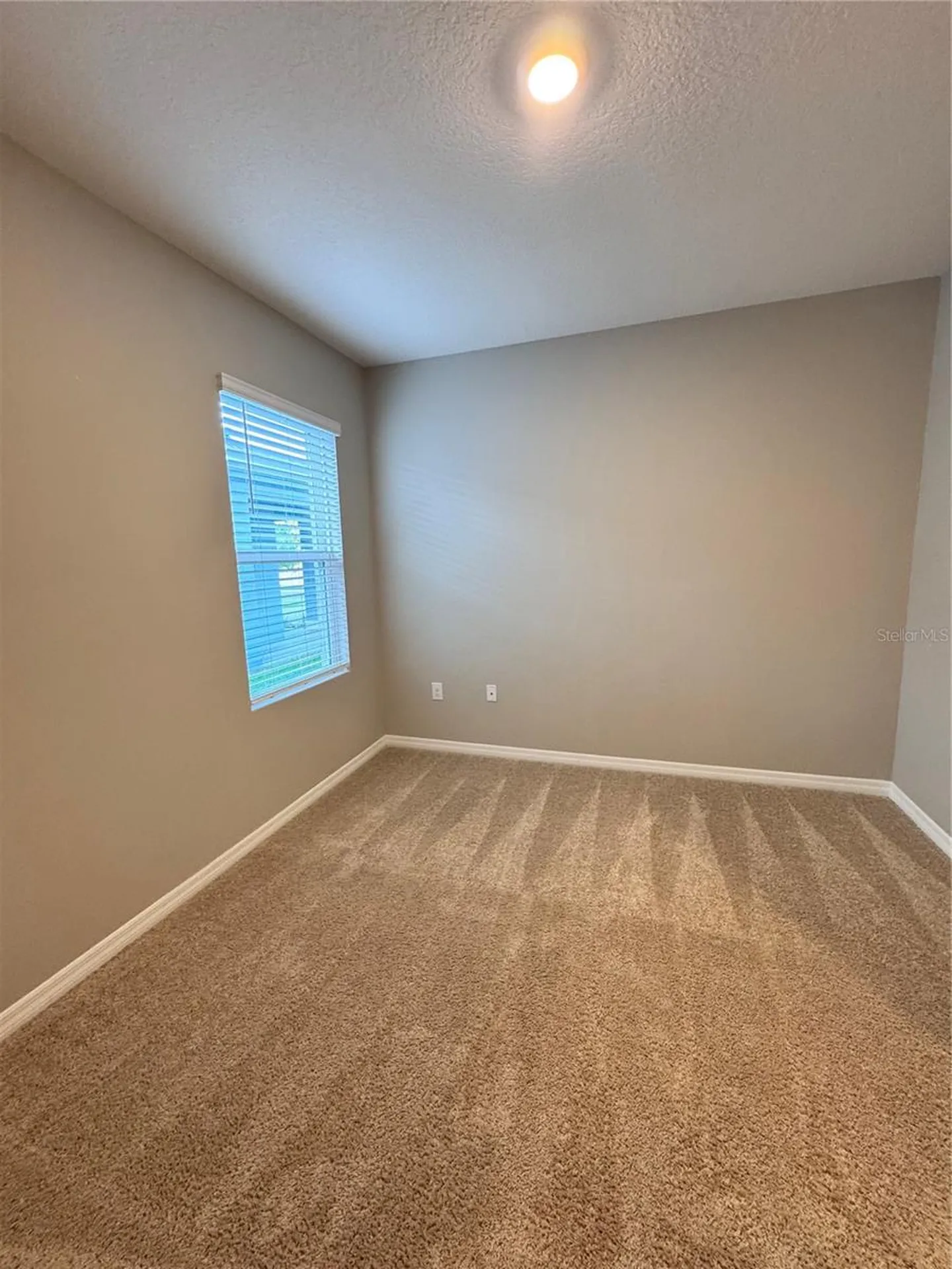 2531 Avalon Park Boulevard Tavares FL 32778