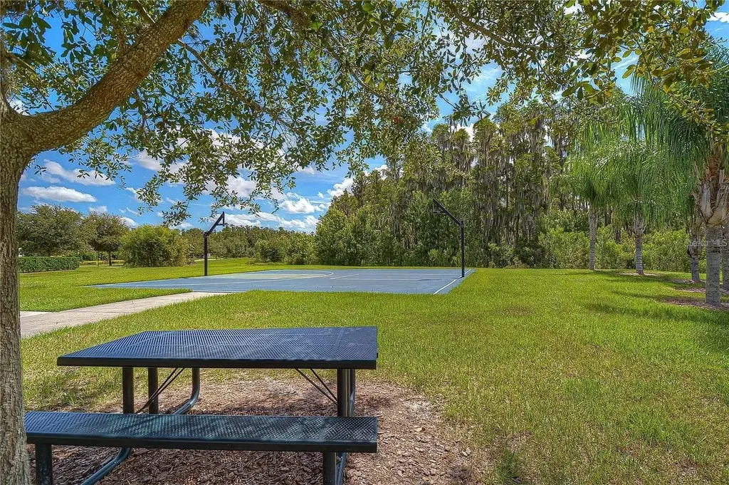 11131 Sundrift Drive Tampa FL 33647