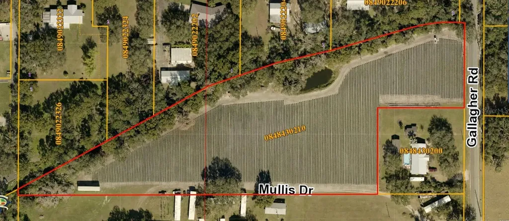Gallagher Road Dover FL 33527