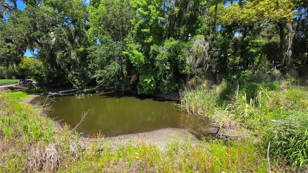 Gallagher Road Dover FL 33527