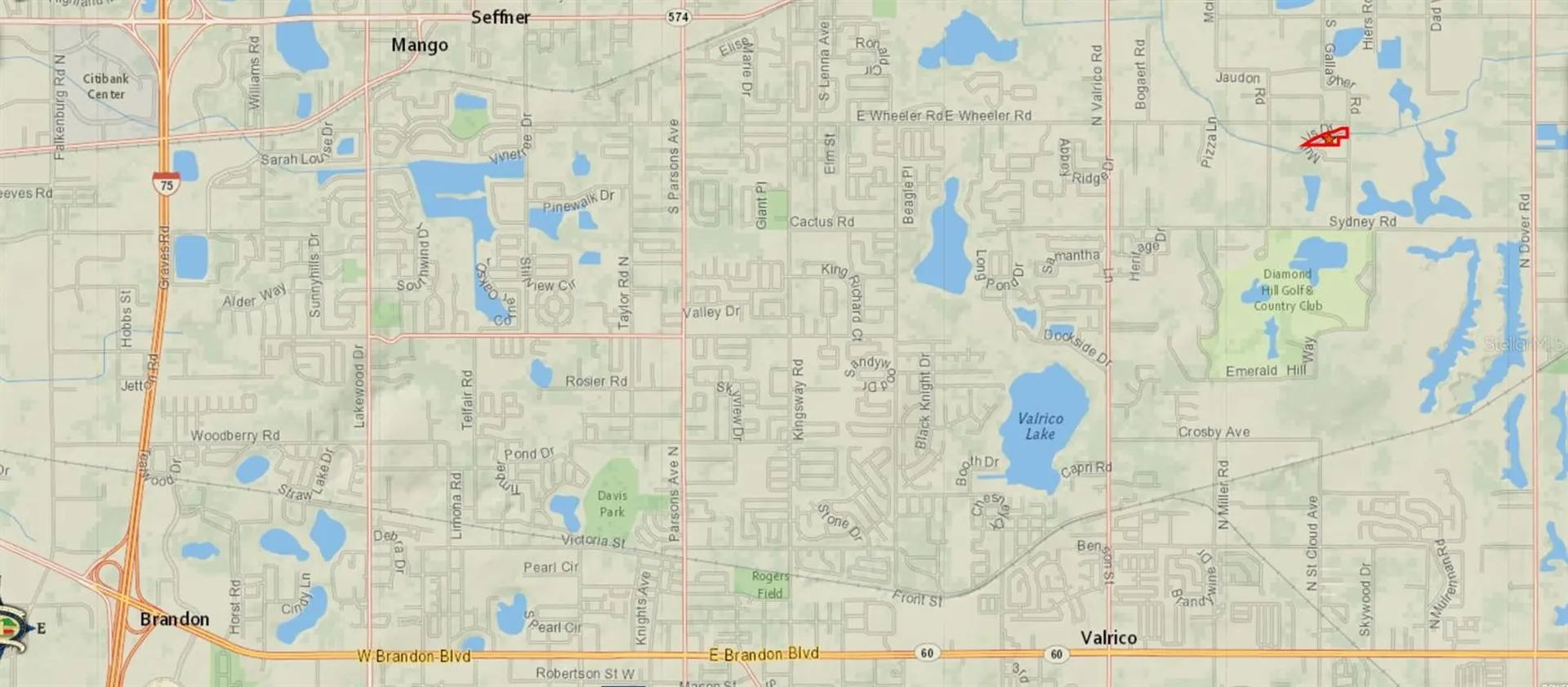 Gallagher Road Dover FL 33527
