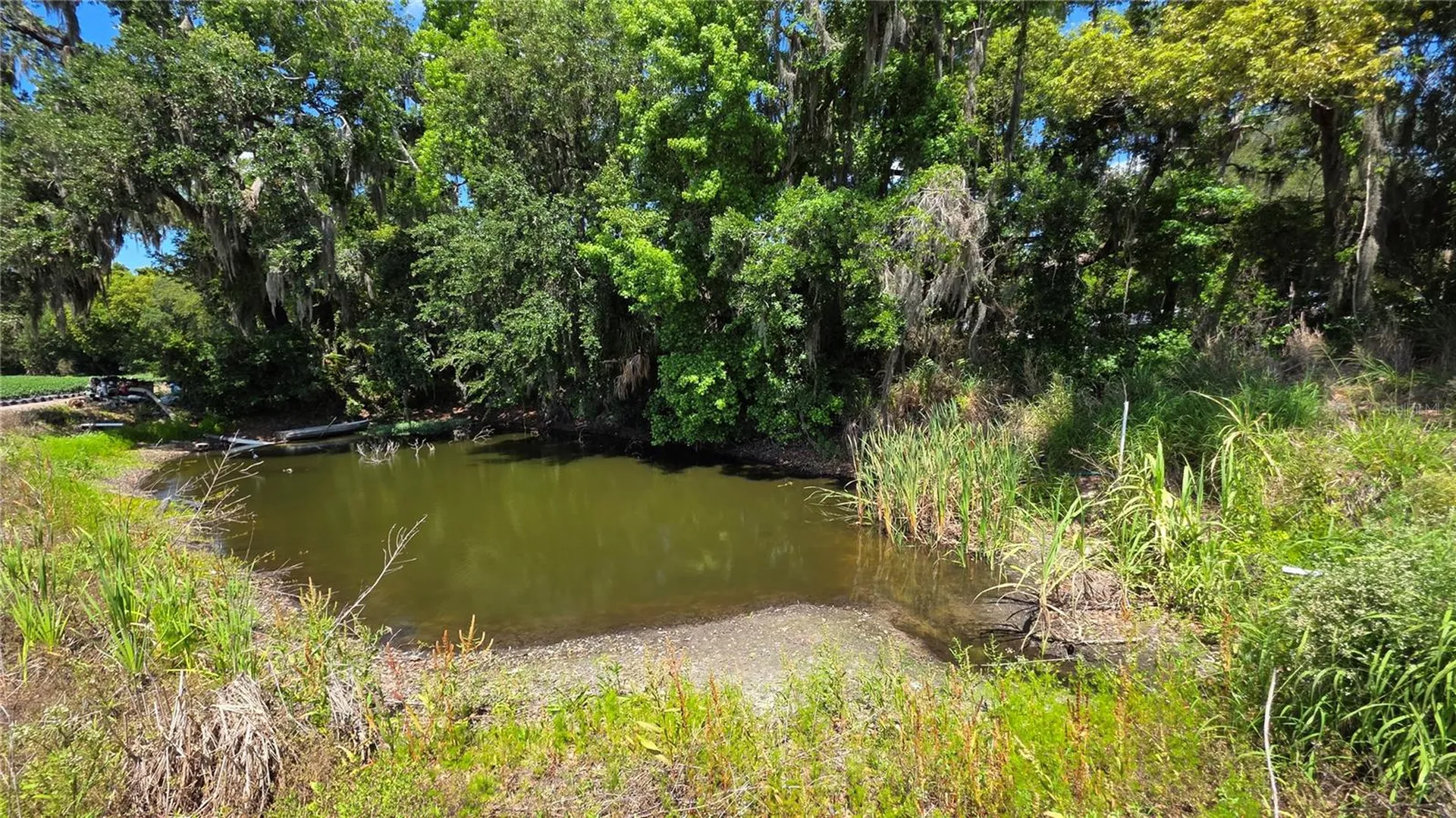 Gallagher Road Dover FL 33527