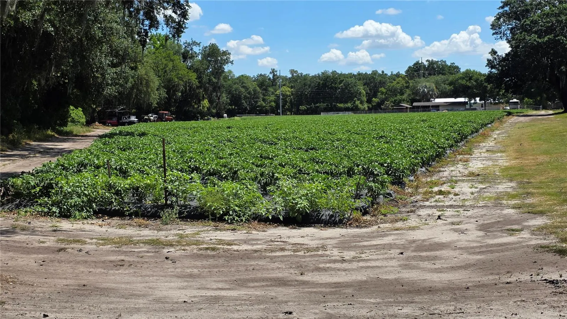 Gallagher Road Dover FL 33527