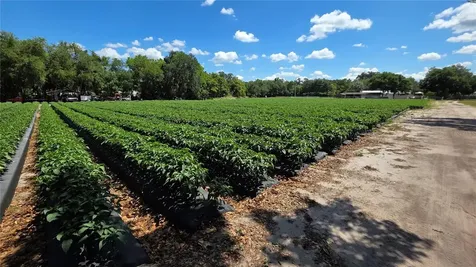 Gallagher Road Dover FL 33527