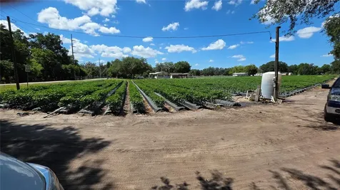 Gallagher Road Dover FL 33527