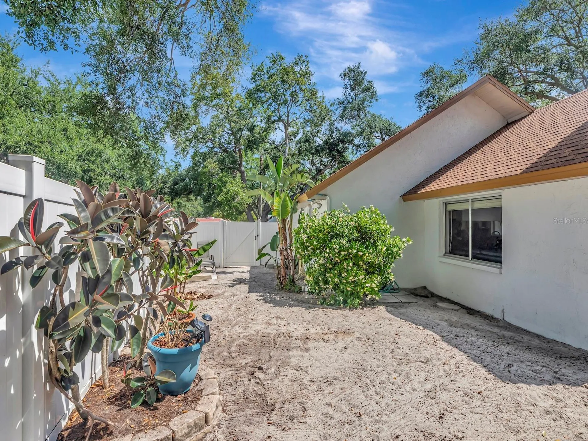 2820 Valencia Lane W Palm Harbor FL 34684