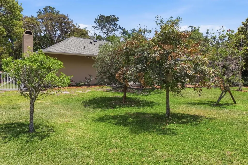 35 Douglas Street Homosassa FL 34446