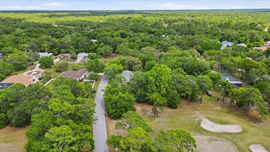 35 Douglas Street Homosassa FL 34446