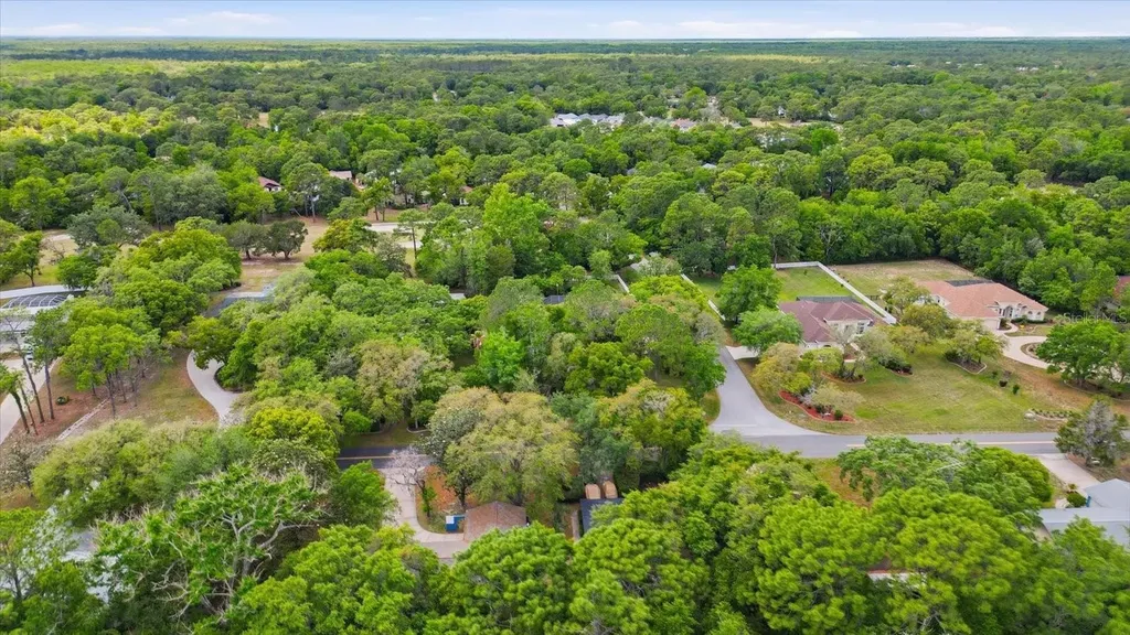 35 Douglas Street Homosassa FL 34446