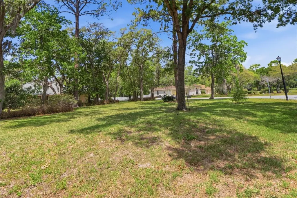 35 Douglas Street Homosassa FL 34446