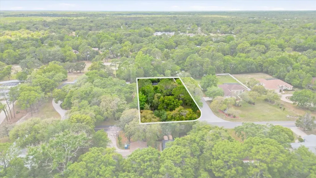 35 Douglas Street Homosassa FL 34446