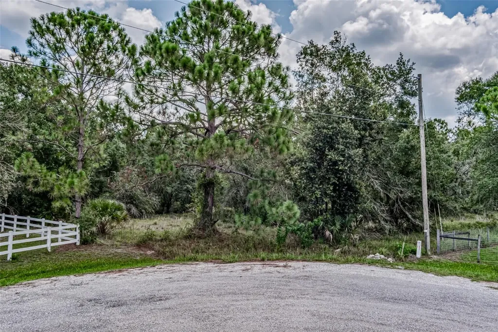 401 Indian Meadow Court Wimauma FL 33598