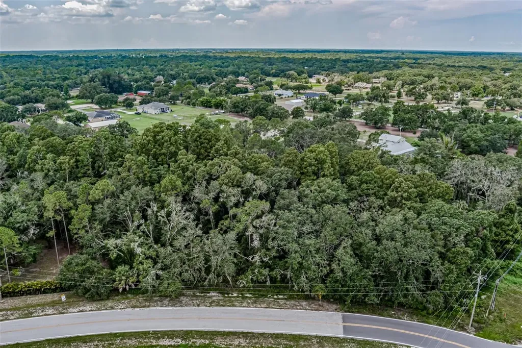 401 Indian Meadow Court Wimauma FL 33598