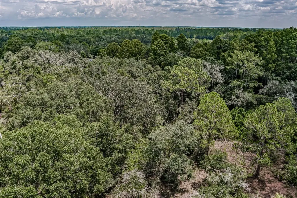401 Indian Meadow Court Wimauma FL 33598