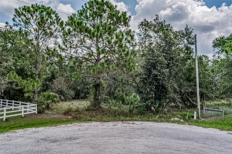 401 Indian Meadow Court Wimauma FL 33598