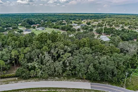 401 Indian Meadow Court Wimauma FL 33598