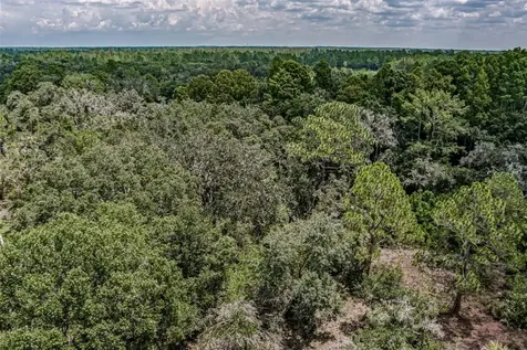 401 Indian Meadow Court Wimauma FL 33598