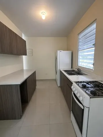 109 Harry Truman Caguas PR 00725