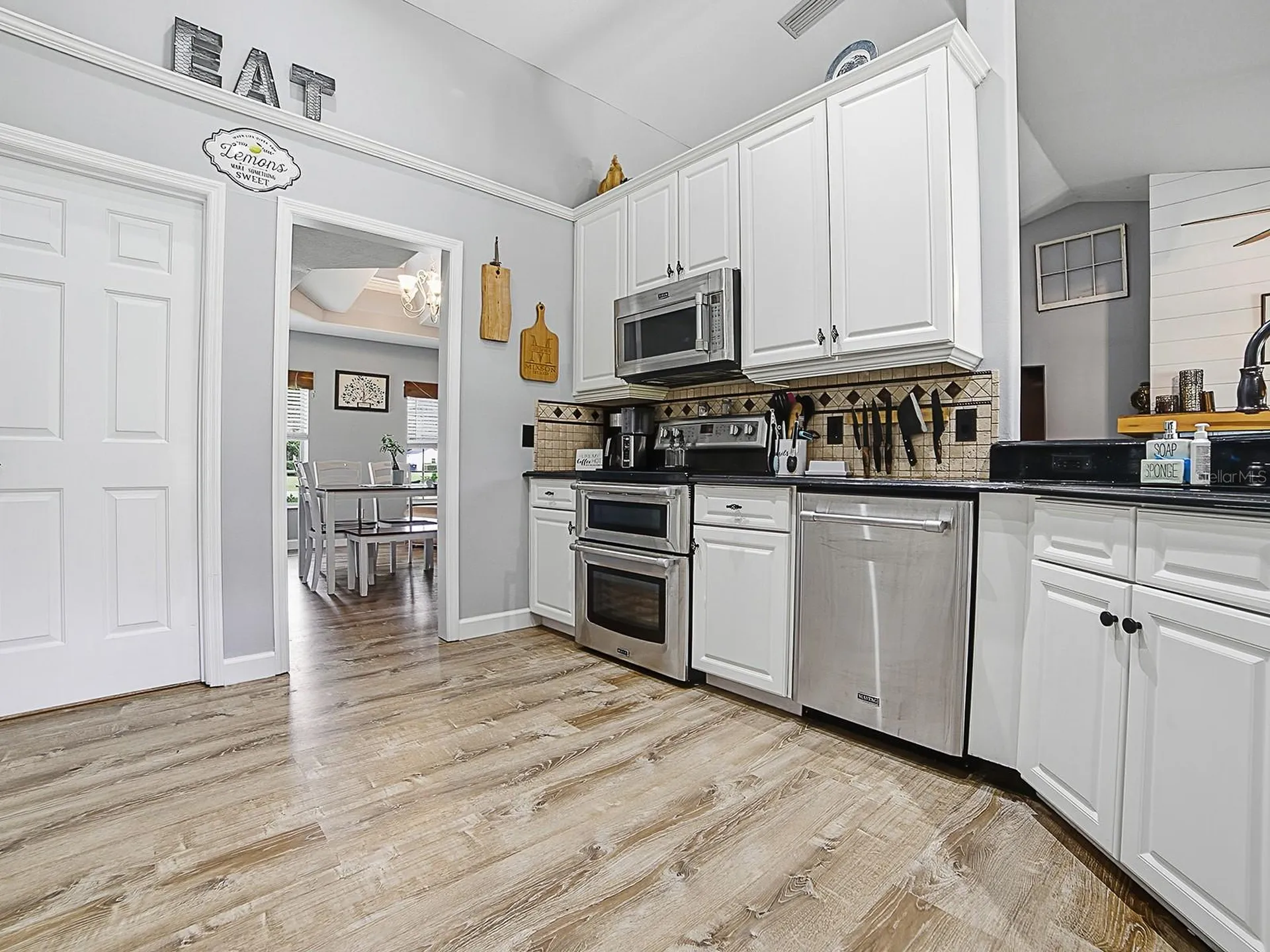 7817 Laurel View Drive Mount Dora FL 32757
