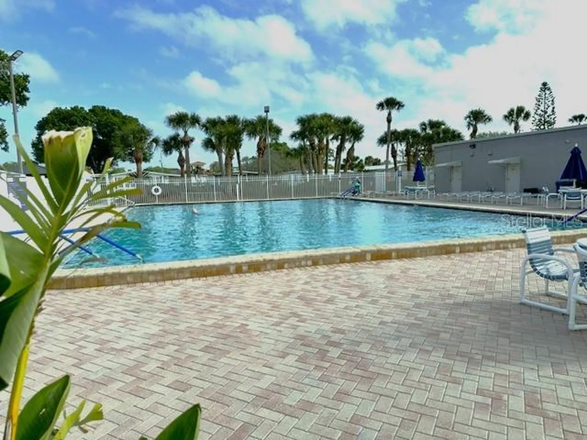 551 Salmon Court Oldsmar FL 34677