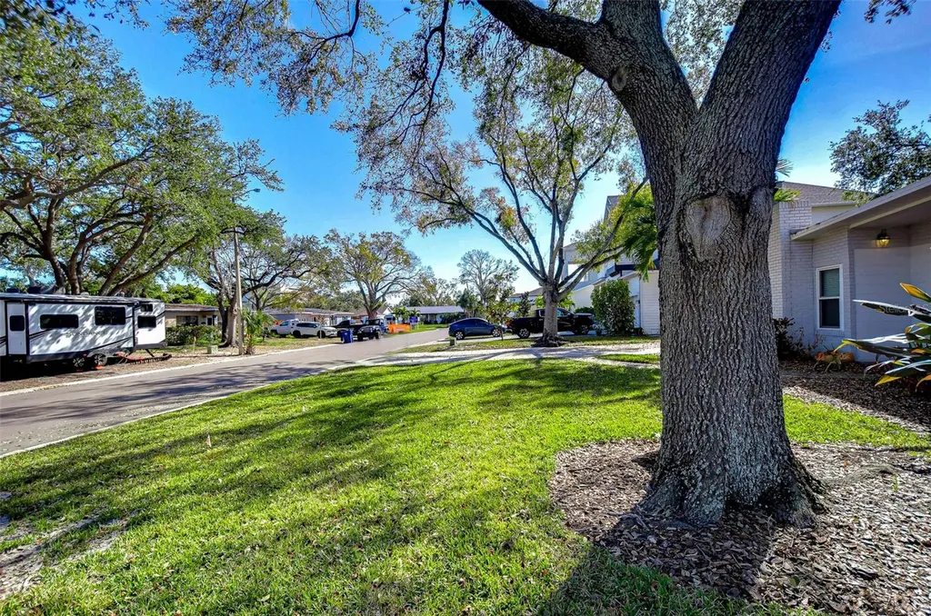 3621 S Belcher Drive Tampa FL 33629