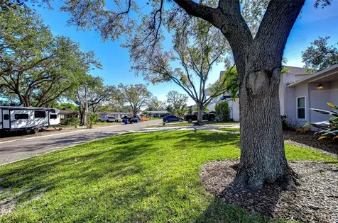 3621 S Belcher Drive Tampa FL 33629