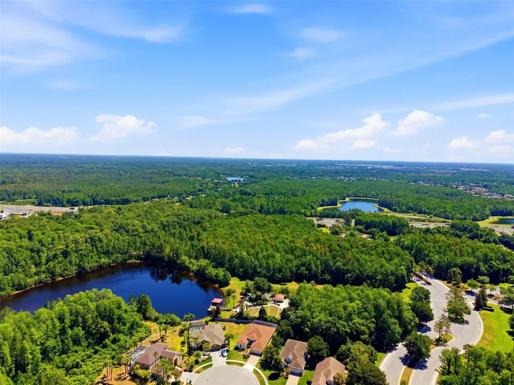 8724 Preston Woods Court Land O Lakes FL 34638