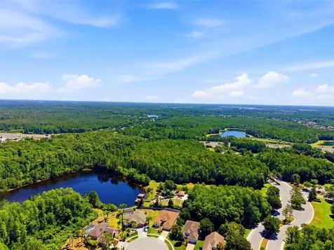 8724 Preston Woods Court Land O Lakes FL 34638