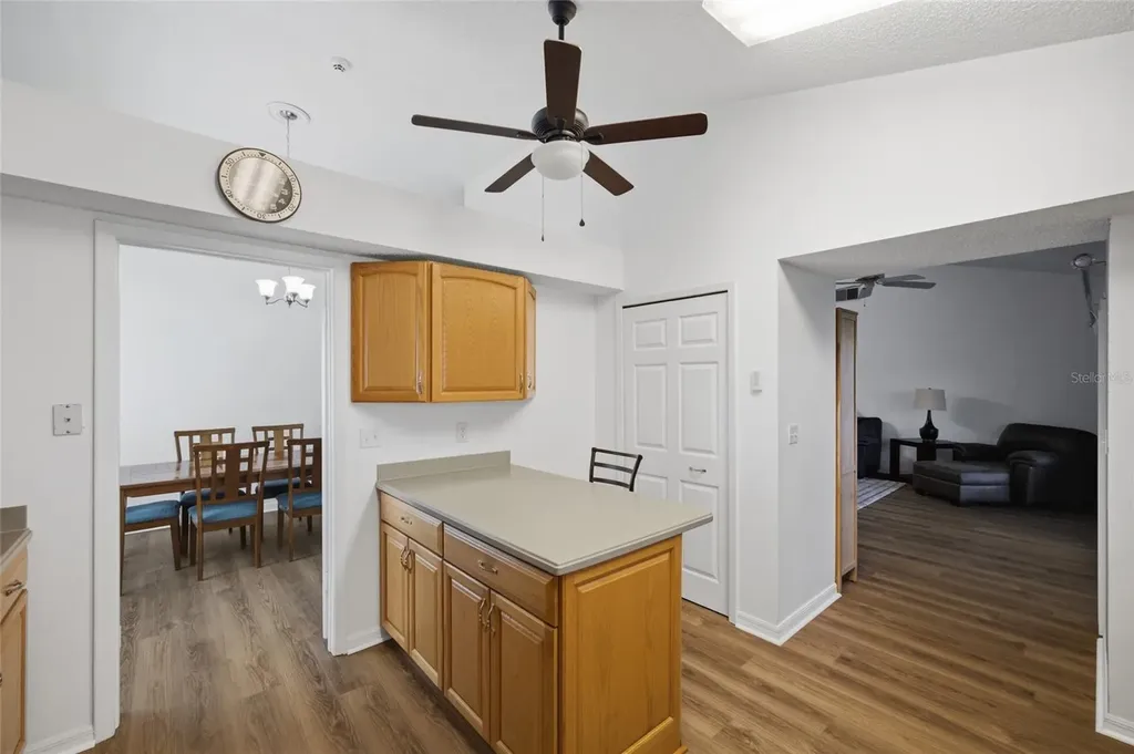 1918 Blue Sage Court Brandon FL 33511