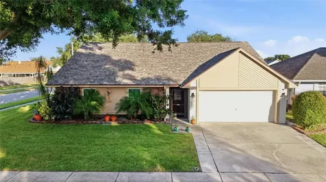 1918 Blue Sage Court Brandon FL 33511