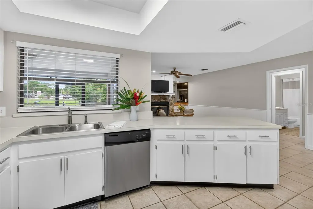 23311 Dover Drive Land O Lakes FL 34639